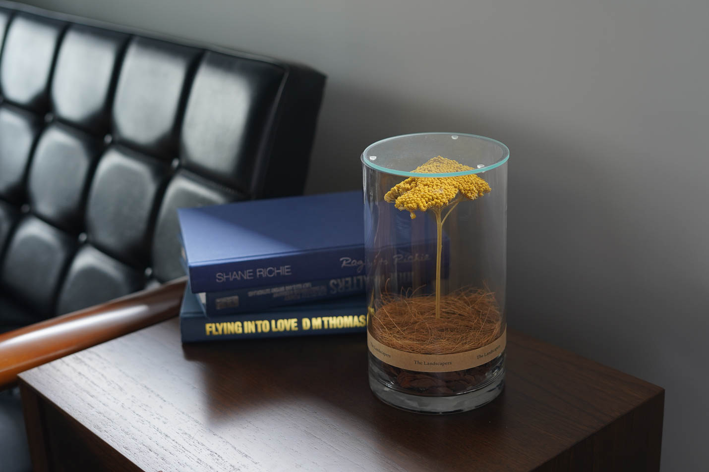 the landscapers Achillea(アキレア)