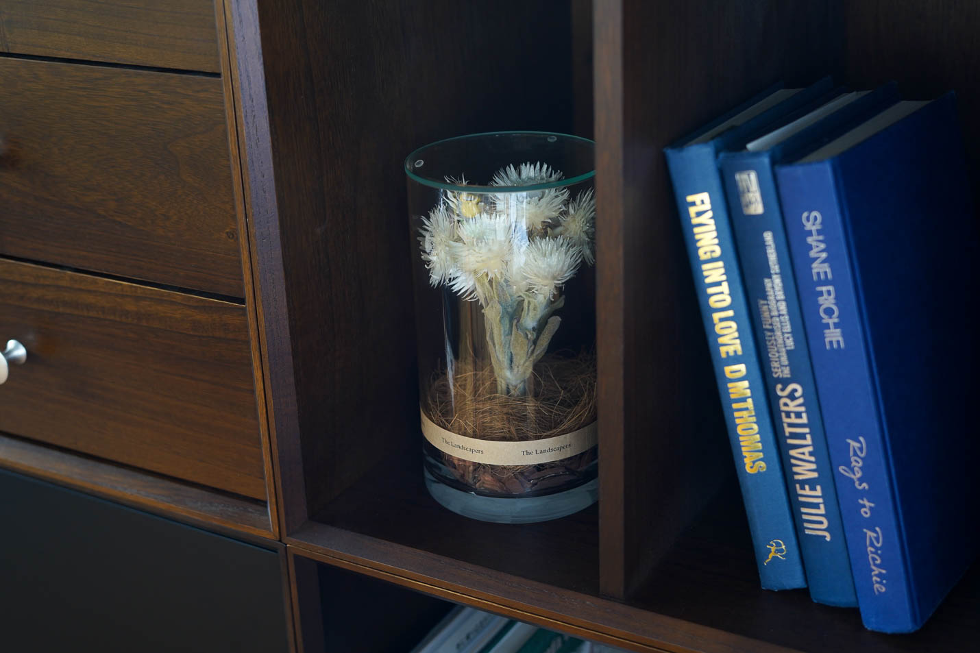 the landscapers Silver Daisy(シルバーデイジー)