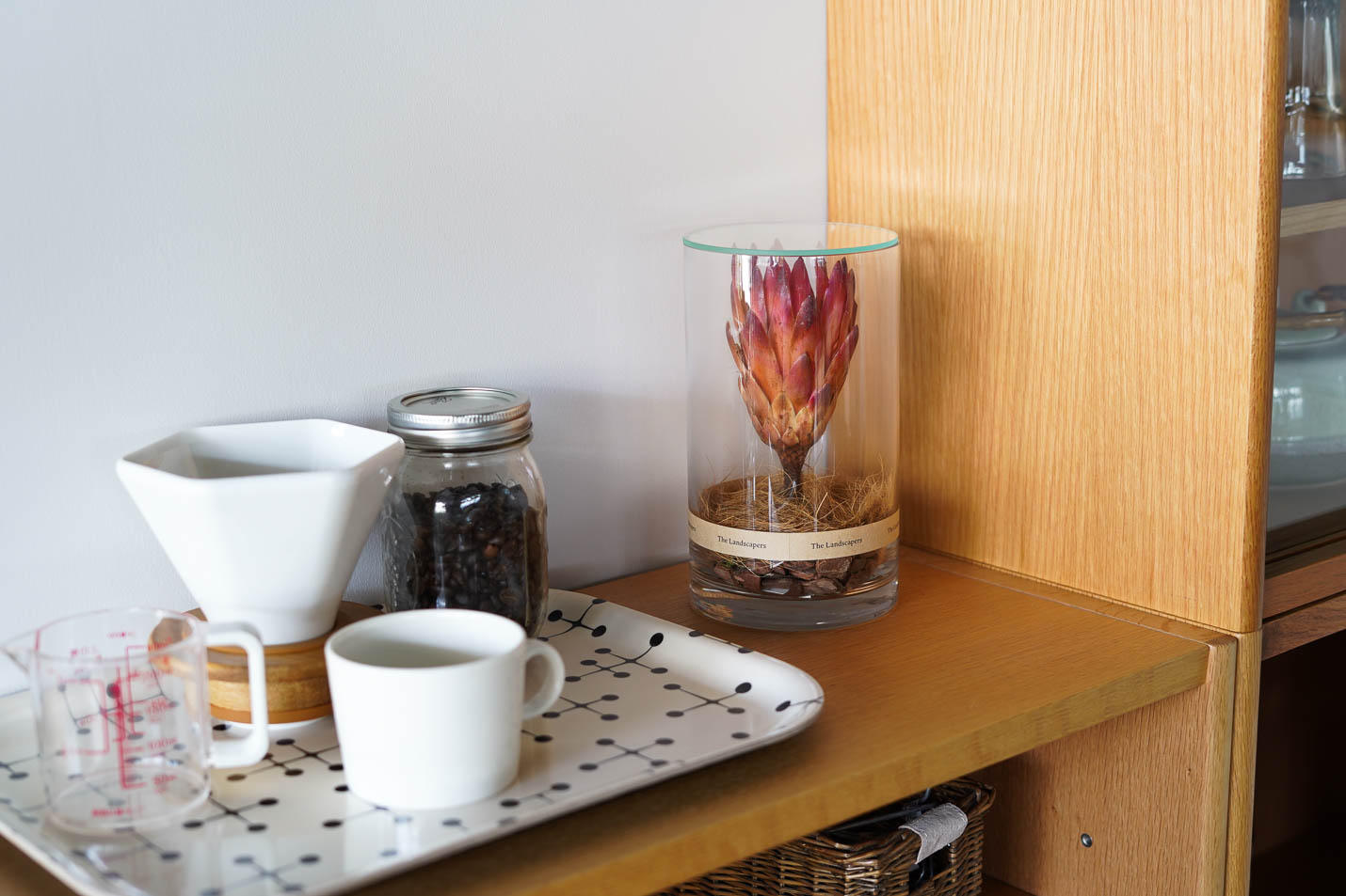 Protea Repens(プロテア レペンス)