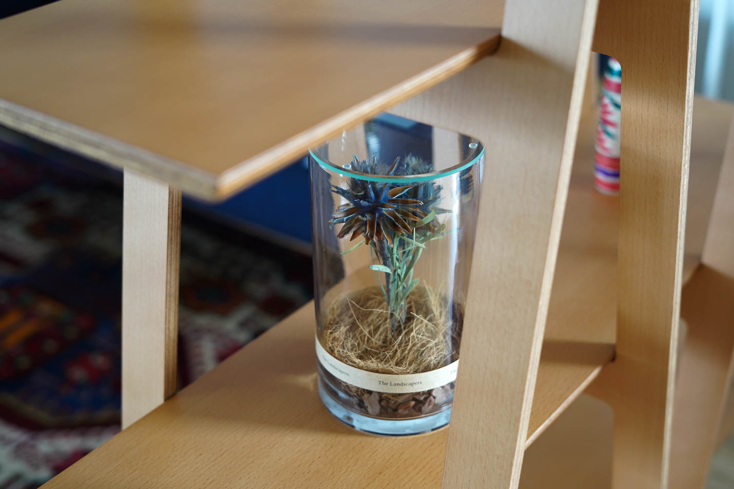 Plumosum(プルモサム)