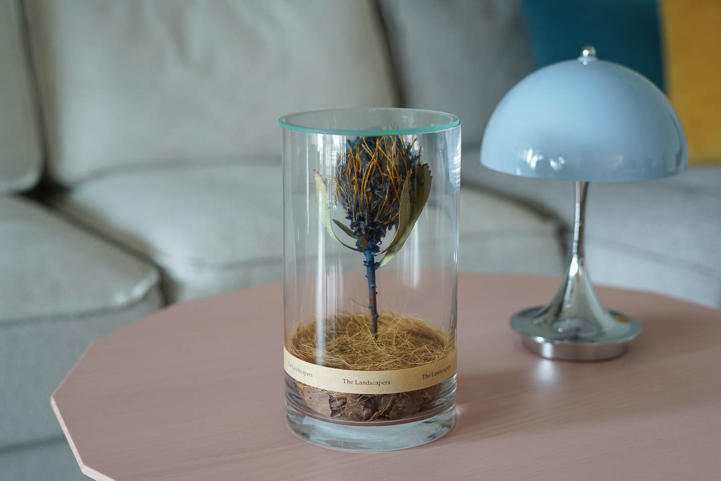 Pincushion Veldfire(ピンクッション ヴェルドファイヤー)