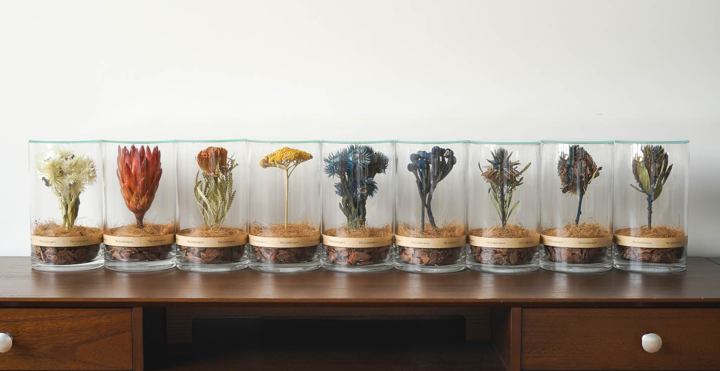 the landscapers 当店取り扱い種類