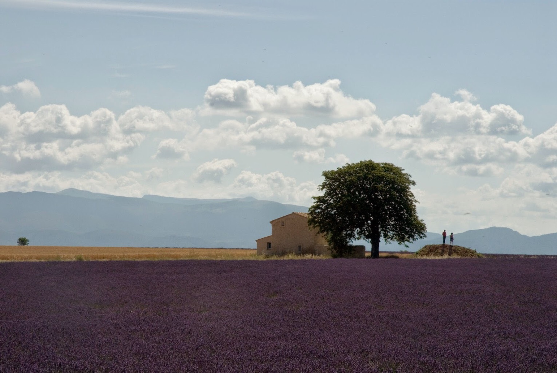 マドエレンが作られる村