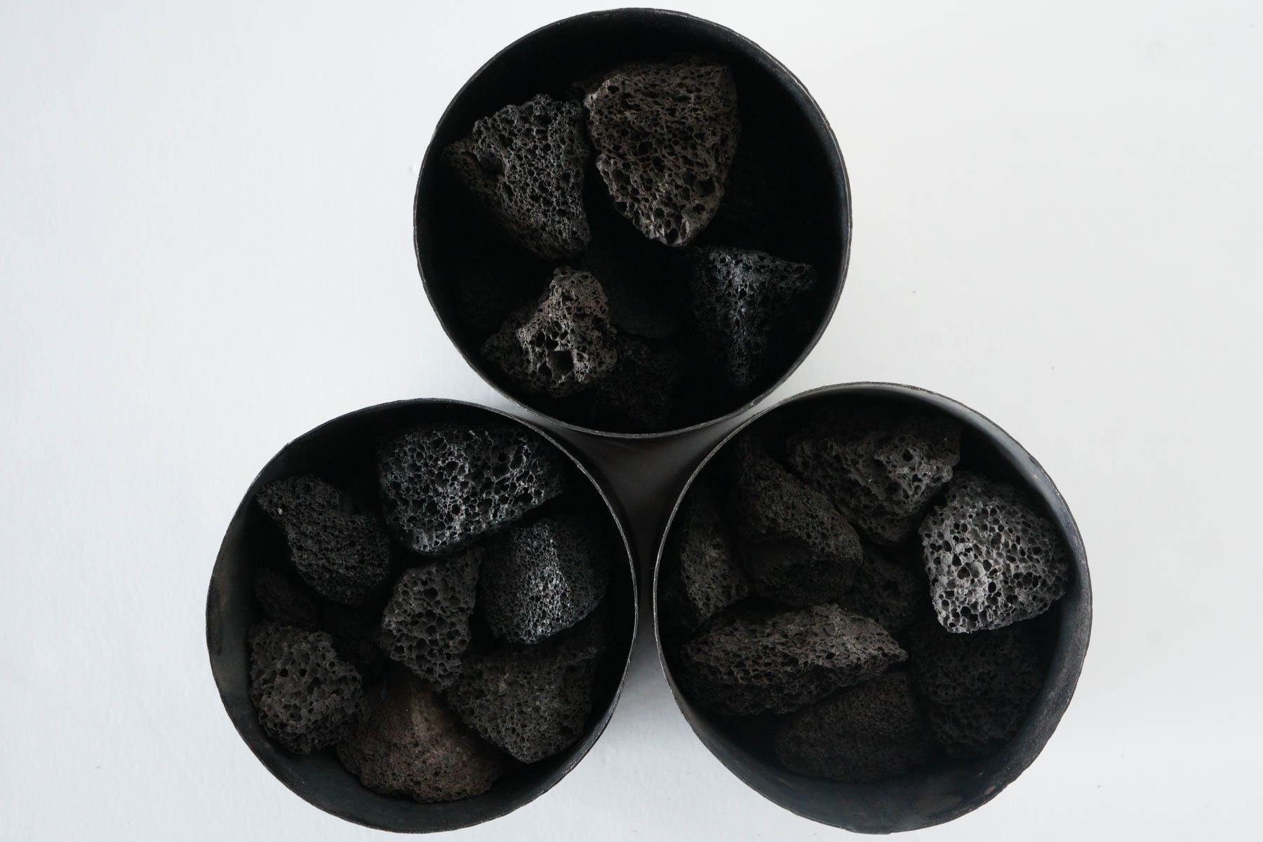 マドエレンアンバーの個体差