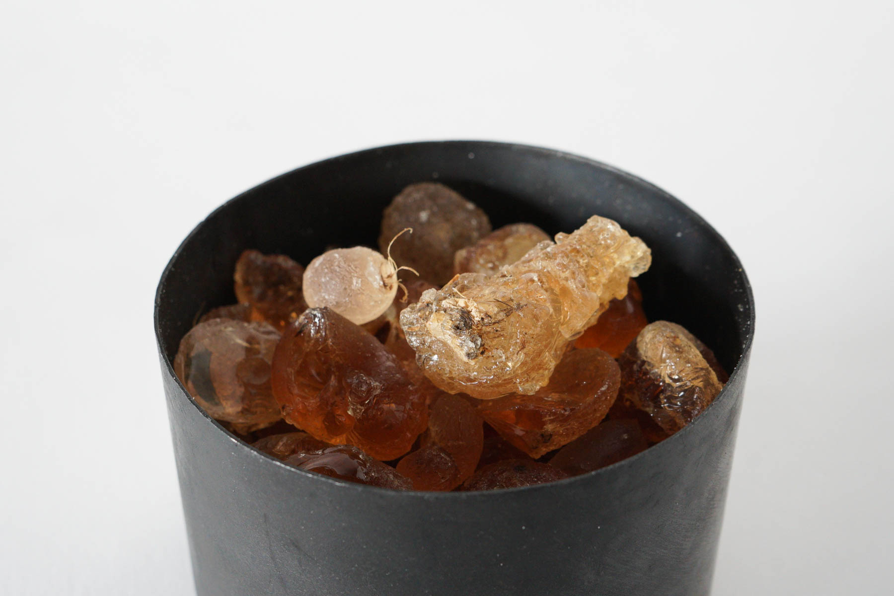 マドエレンアンバーの個体差