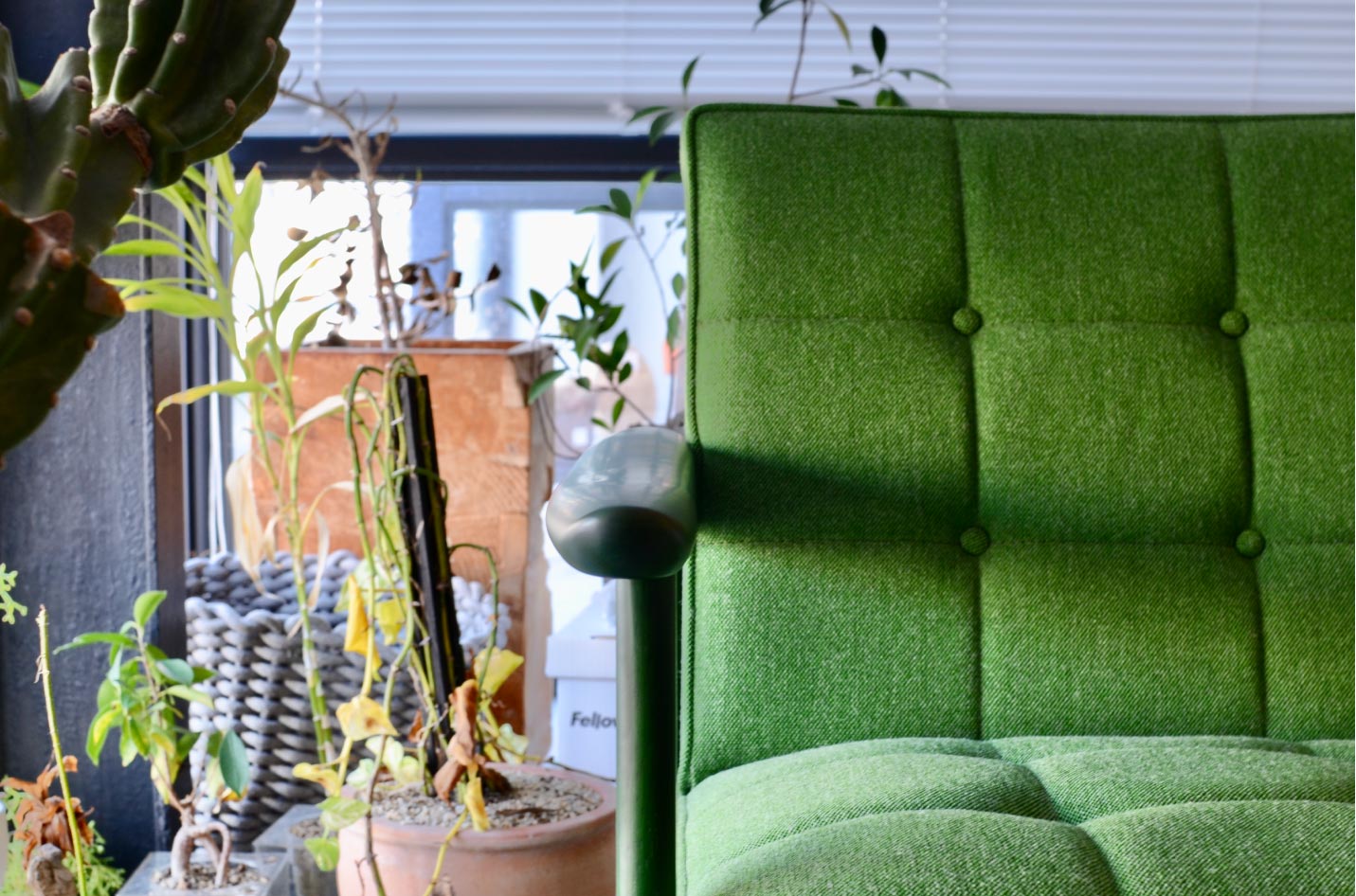 Kチェア グリーングリーン