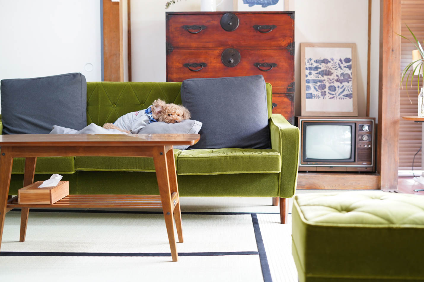 カリモク60 オーナーズインタビューNo.2 郡山店:Y様 1