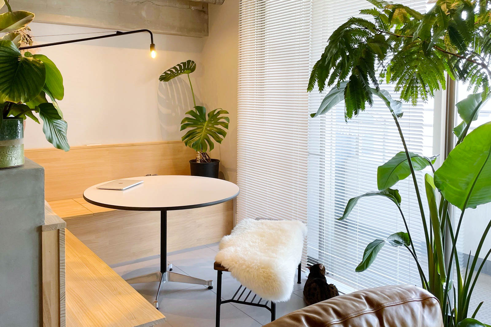 アーバンジャングル