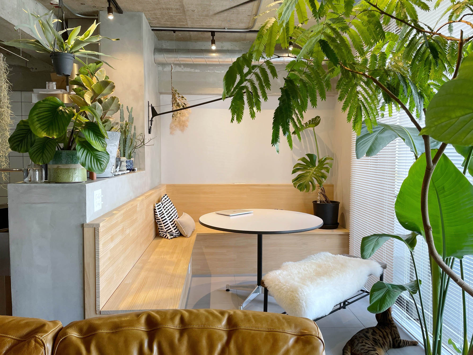 アーバンジャングル