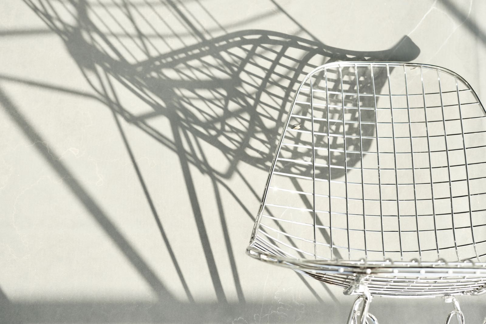 むしろ直射日光が好き