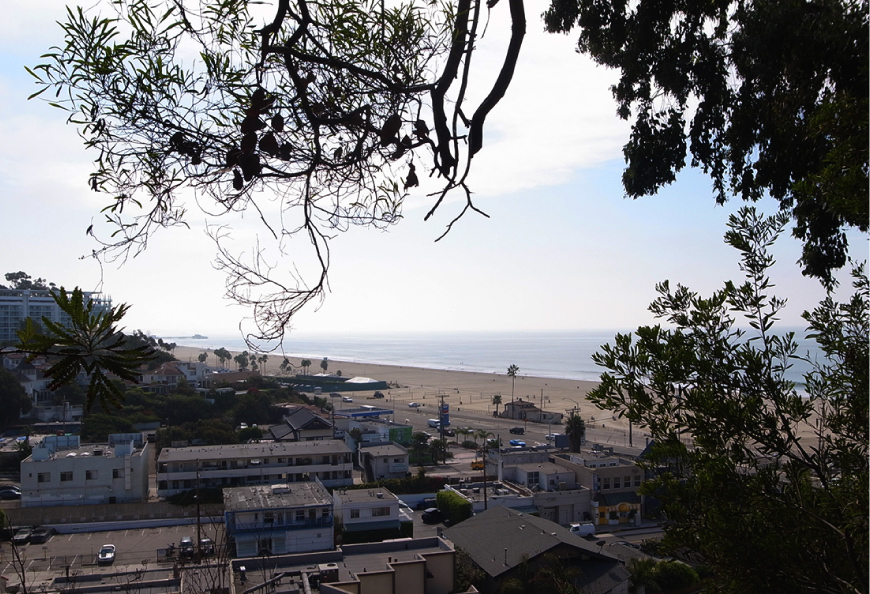 ハーマンミラー（hermanmiller）イームズハウスからのサンタモニカビーチの眺め