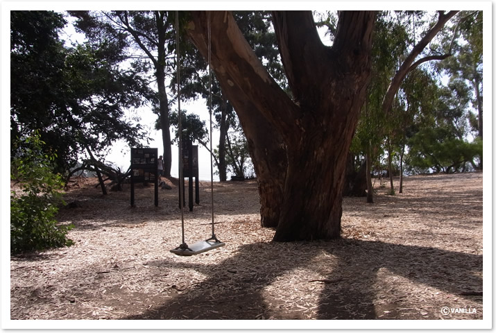 イームズハウスのブランコ