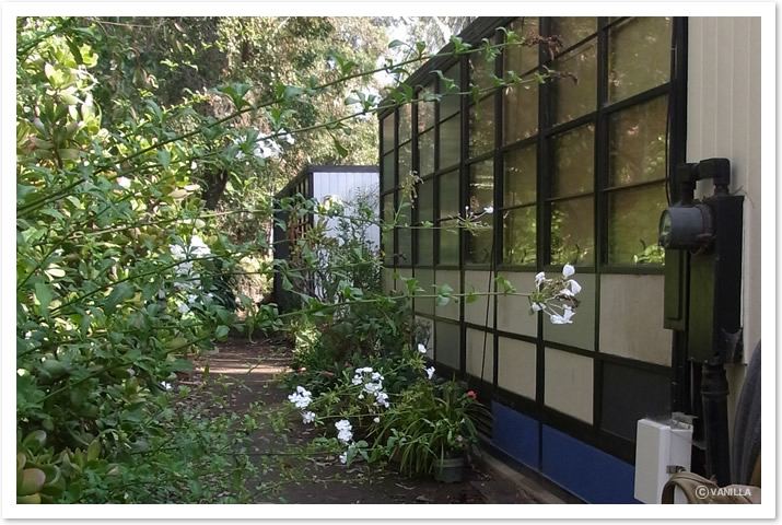 イームズハウスの裏側