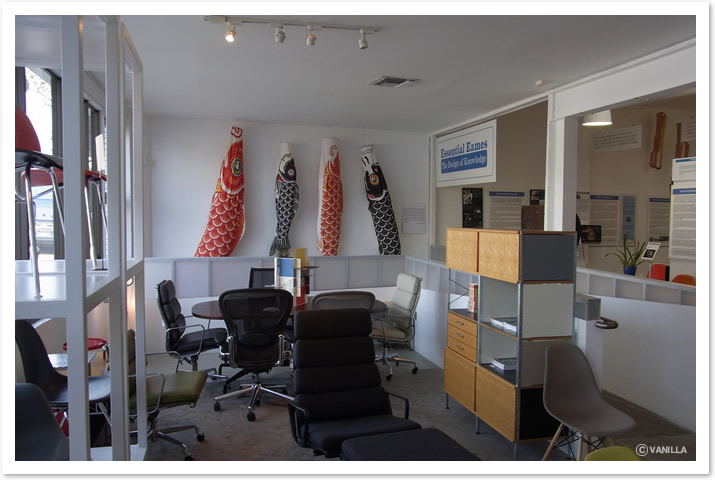 イームズオフィスの鯉のぼり