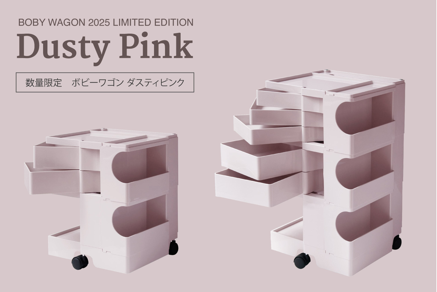 インナートレイプレゼントキャンペーン