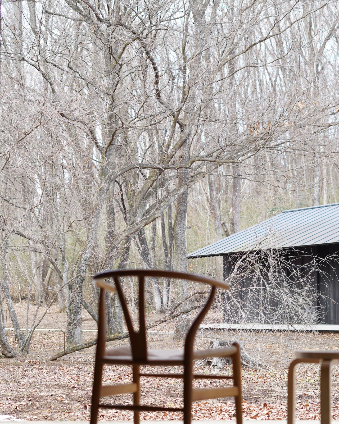 那須の冬とCARL HANSEN & SON （カール・ハンセン＆サン）CH24(Yチェア）