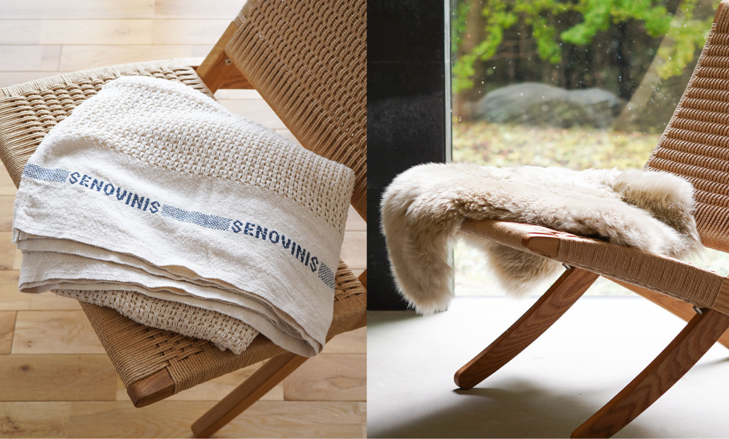 数量限定 MG501キャンペーン