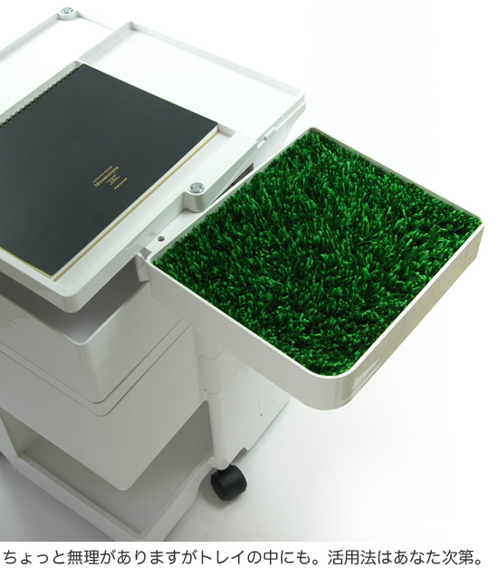 ボビーワゴンのトレイの中に