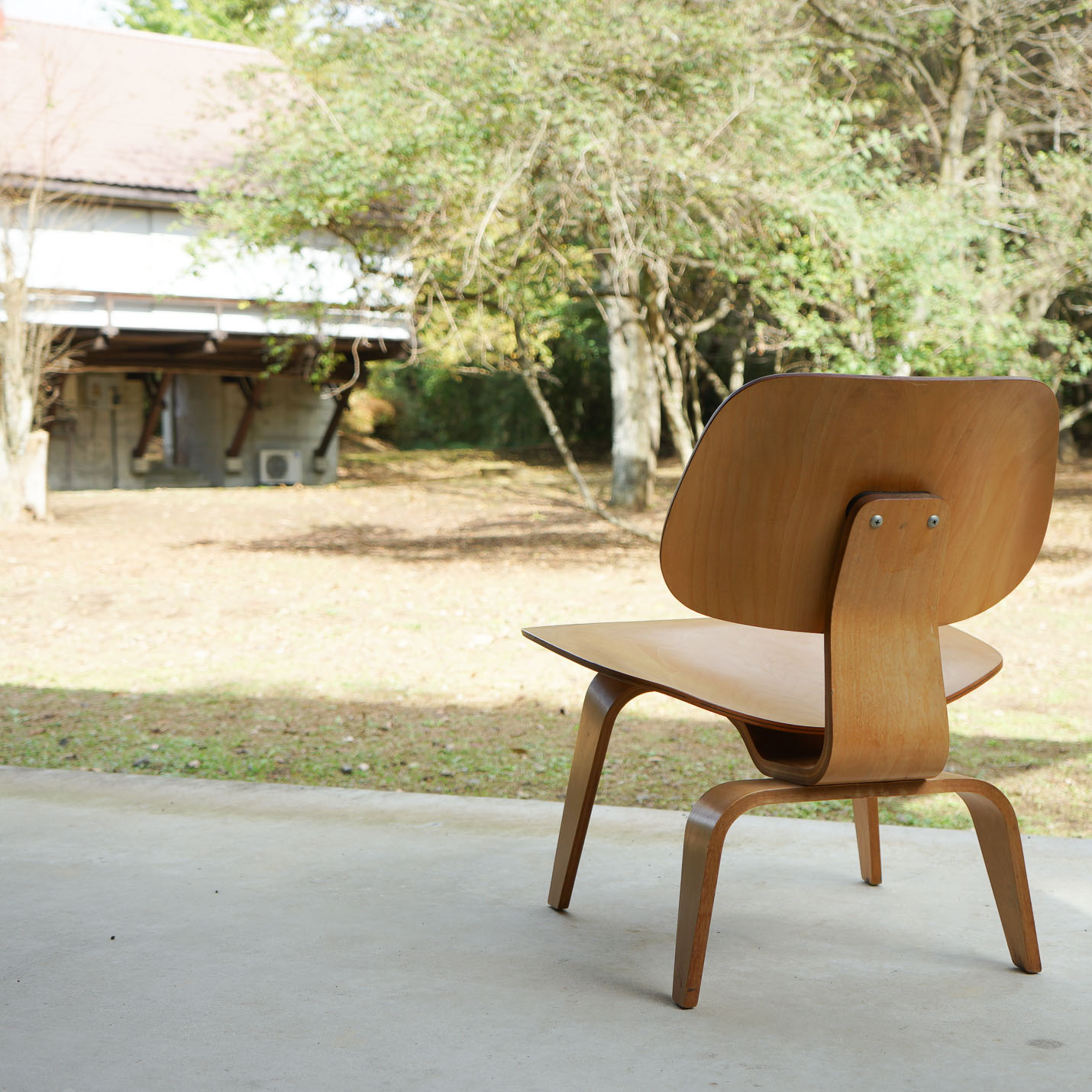 vanillaインスタライブ