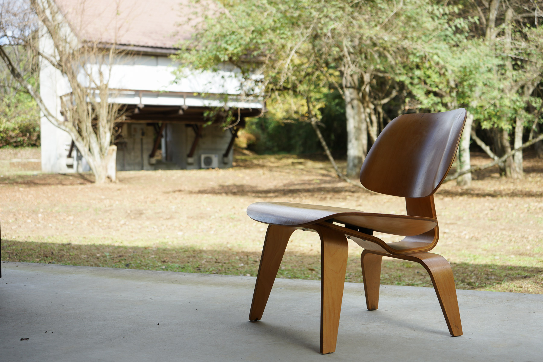 宮脇建築とイームズLCW