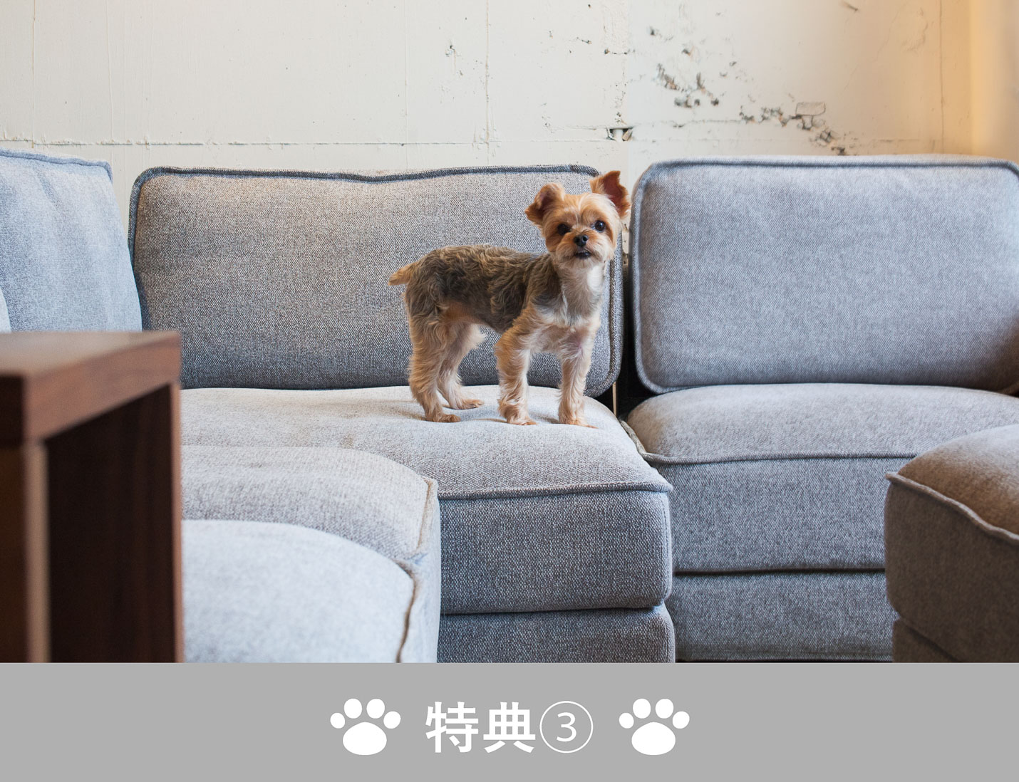 フランネルフェア2023特典3