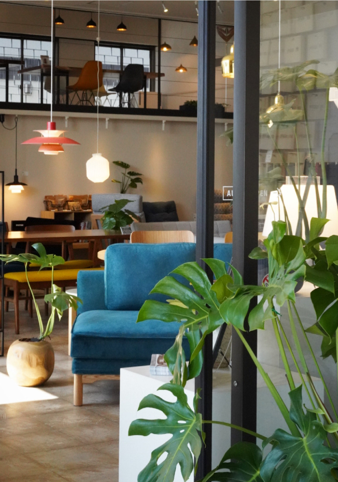 キナルバニラ-No.1