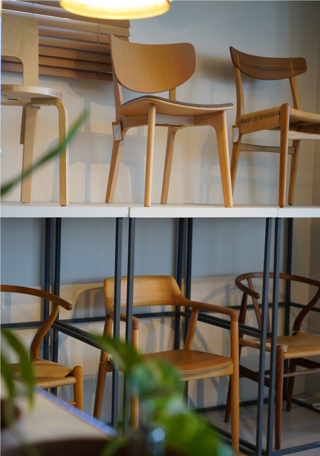 キナルバニラ-No.8