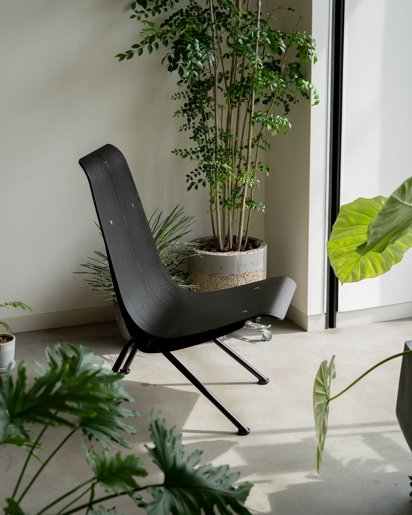 Vitra（ヴィトラ） アントニー リミテッドエディション2026（Antony Limited Edition 2026）