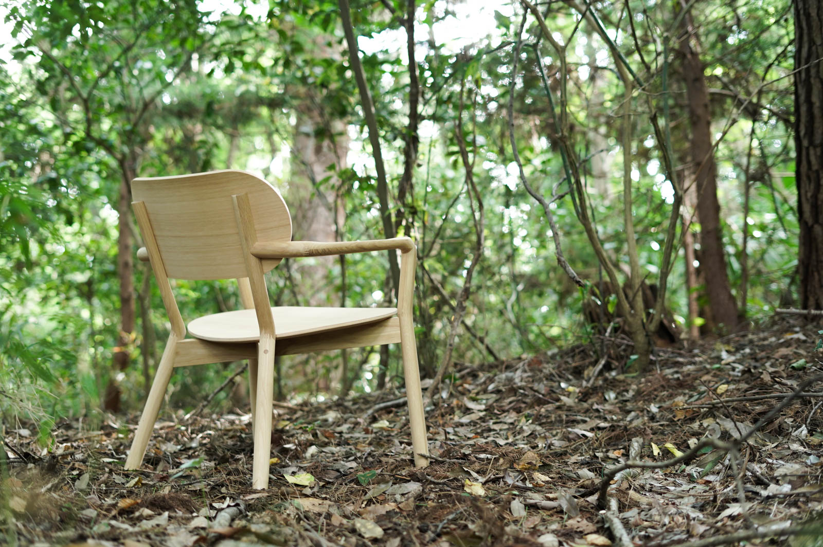 価値ある日本の森