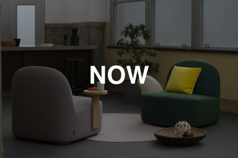 カリモク ニュースタンダード（KNS） ポーラー（Polar）