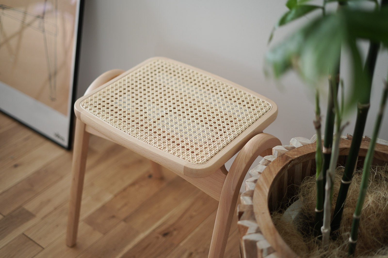 観葉植物との相性