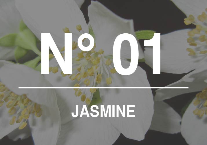 ジャスミン