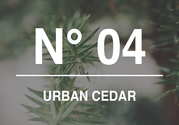 アーバンシダー