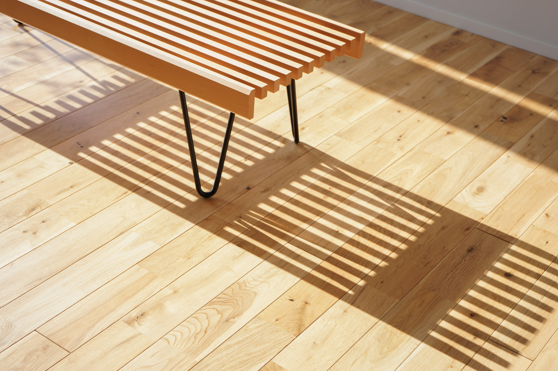 ベンチのシルエット