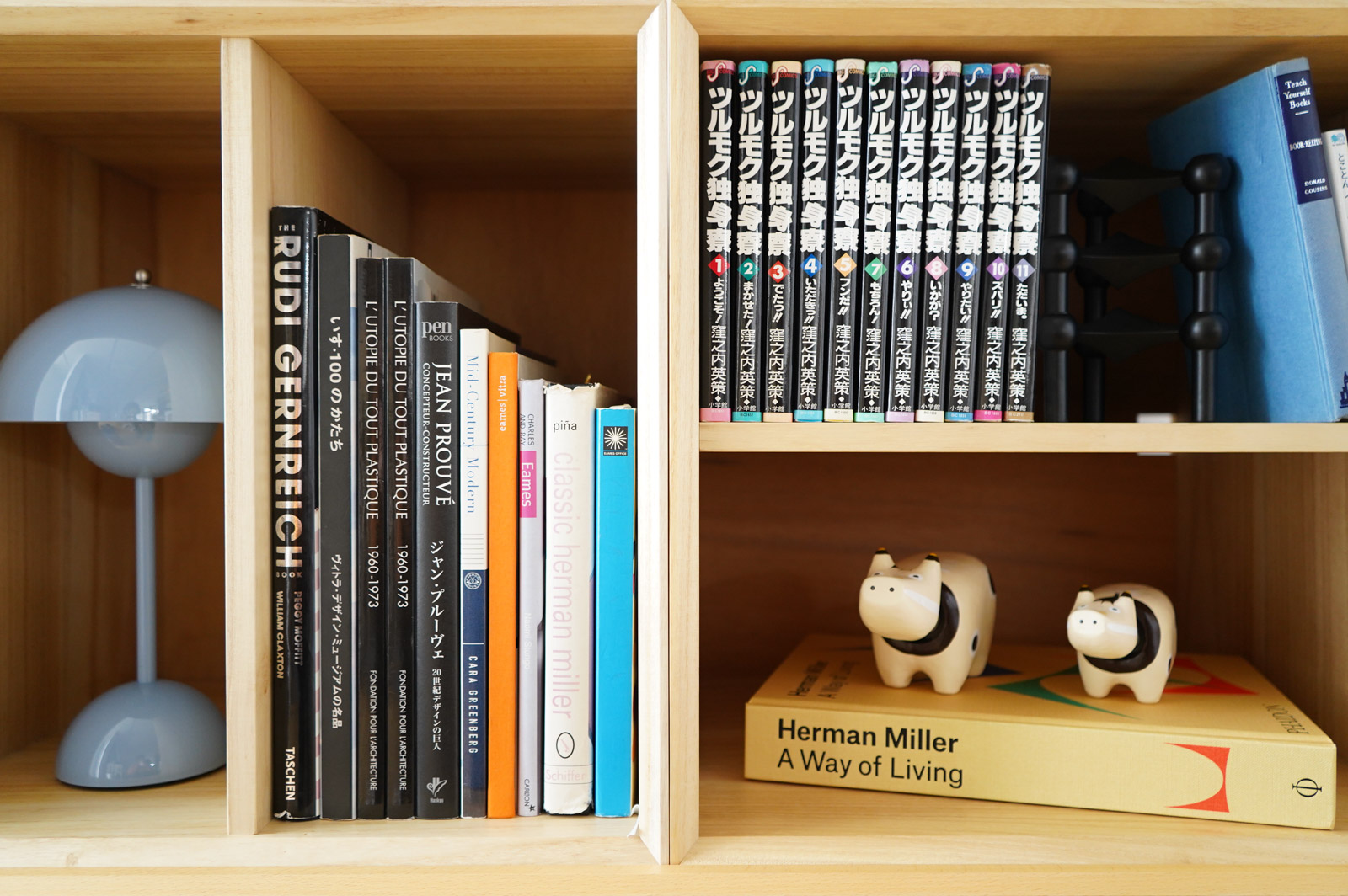 中身を入れてみて