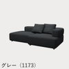 FRITZ HANSEN（フリッツ・ハンセン）ALPHABET SOFA（アルファベットソファ）2シーター（PL240-5） / クリスチャンハウン