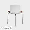 FRITZ HANSEN（フリッツ・ハンセン）PK8 チェア / CATEGORY4