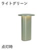 FRITZ HANSEN（フリッツ・ハンセン）SOLAE（ソラエ） ポータブルランプ ライトグリーン